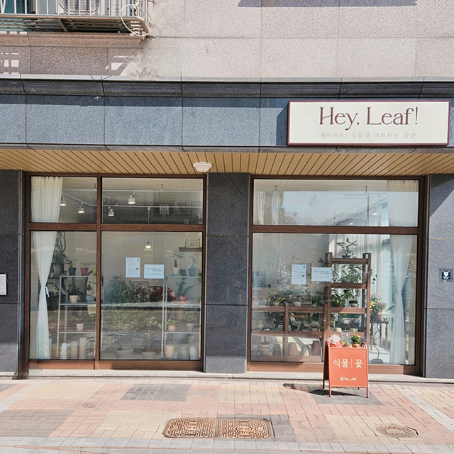 헤이리프