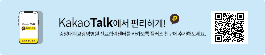 카카오플러스 친구